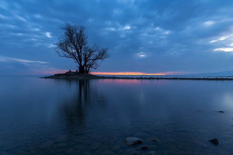 tree, sunrise, sunset, landscape, nature, sky, clouds, scenic HD wallpaper