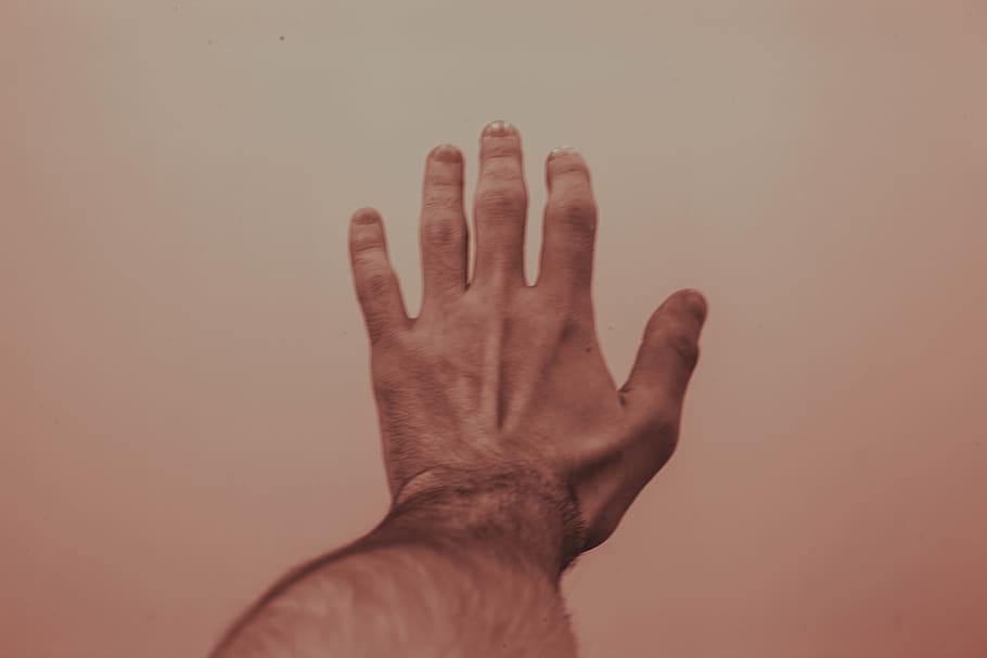 person's left hand, human hand, human body part, one person, indoors HD wallpaper
