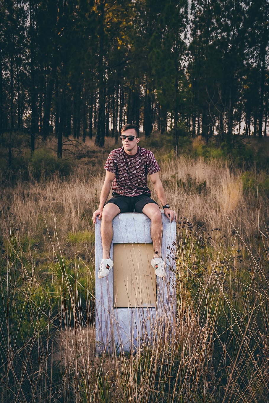 man sitting on stone, plant, tree, grass, land, two people, men HD wallpaper