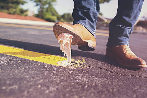 Person Stepped on Gum, disgusting, fail, failure, flop, man, mistake HD wallpaper