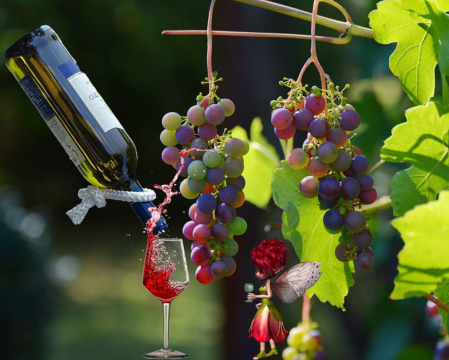 wine, plant, elf, magic, wine bottle, food and drink, fruit HD wallpaper