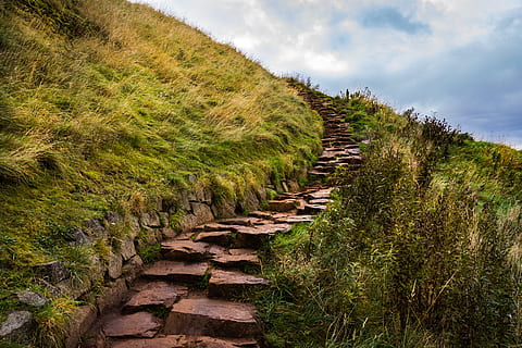 outdoors, flagstone, slate, nature, trail, field, grassland HD wallpaper