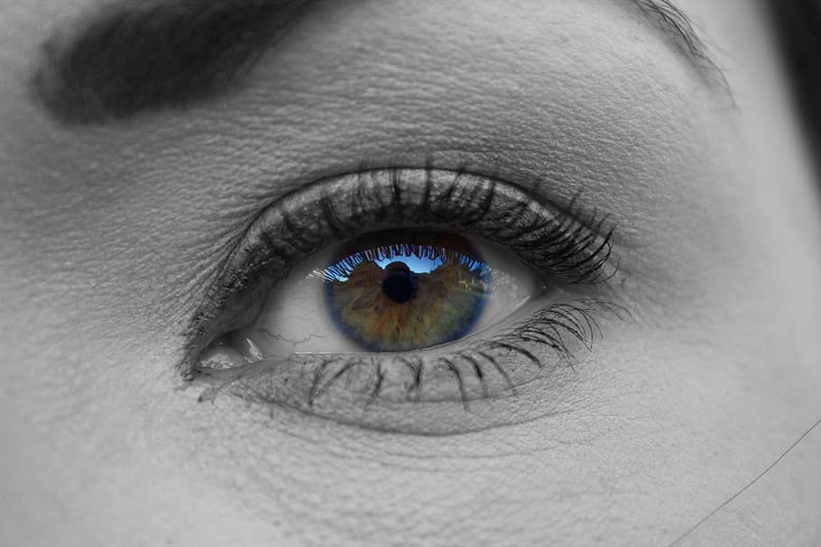eyes, eyelashes, reflection, girl, woman, human eye, body part HD wallpaper