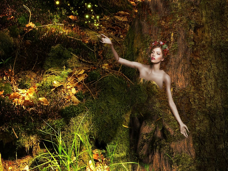 fantasy, forest, fee, fairytale, magic, lighting, dream, trees HD wallpaper