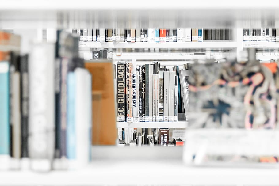 assorted books on bookshelves, publication, indoors, shelf, selective focus HD wallpaper