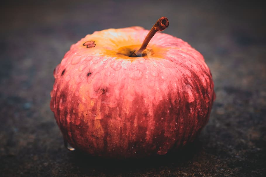 apple, wet, drip, fruit, healthy, nature, rain, food, delicious HD wallpaper
