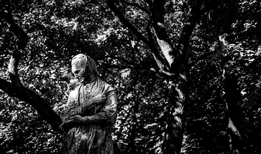 statue, park, tree, trees, black and white, plant, nature, day HD wallpaper