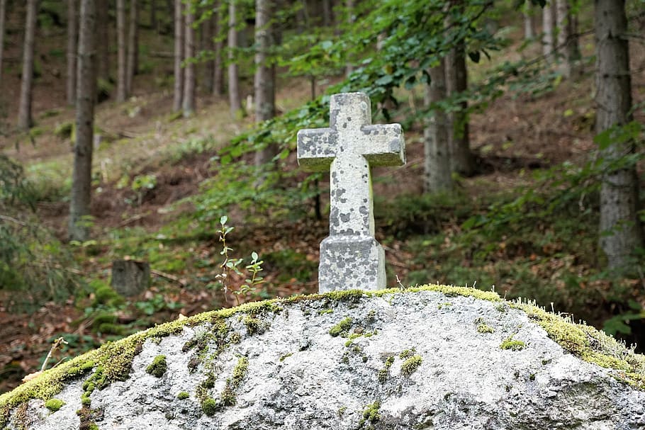 cross, forest, stone, religion, grave, trees, cemetery, nature HD wallpaper