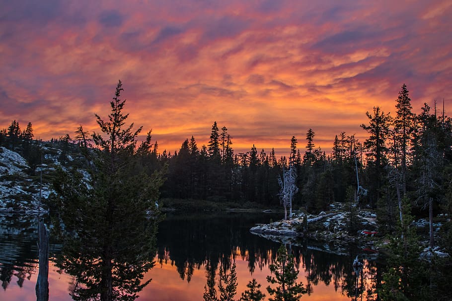 Silhouette of Trees and Body of Water during Orange Sunset, clouds HD wallpaper