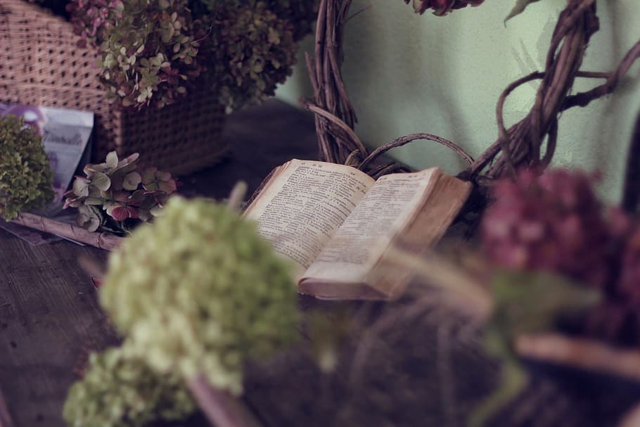 brown book on wooden table, flower, plant, hydrangea, foliage HD wallpaper