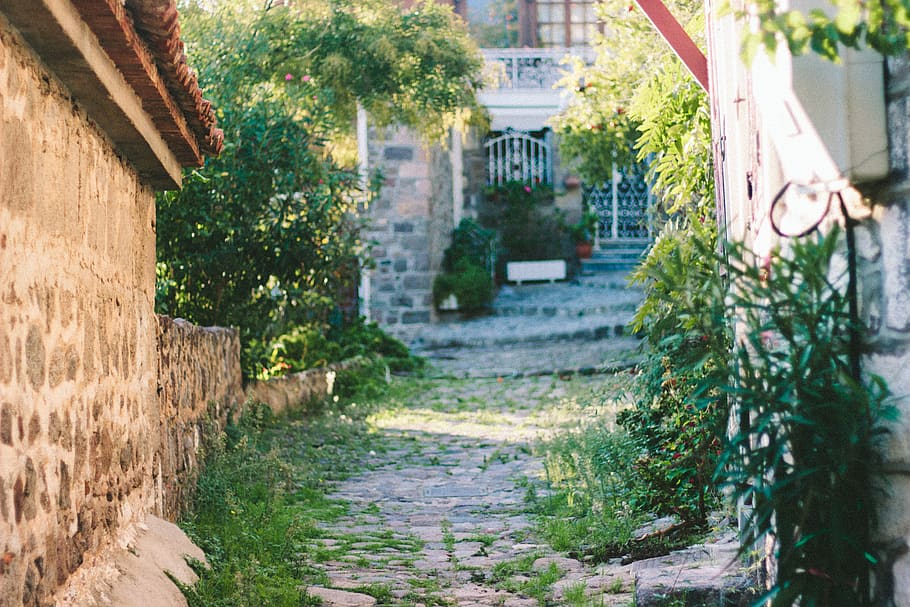 greece, mithimna, path, flowers, gate, walkway, cobblestones, HD wallpaper