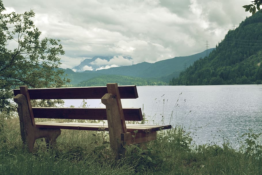 bench, lake, mountain range, plant, seat, beauty in nature HD wallpaper