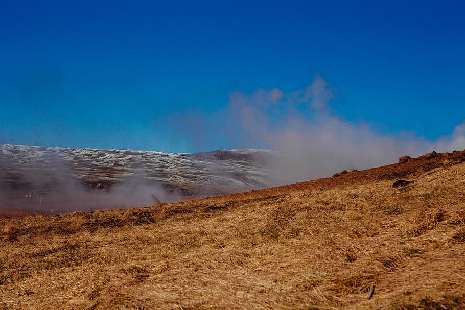 Brown Grassy Plain Under Sunny Sky, steam, scenics - nature, beauty in nature HD wallpaper