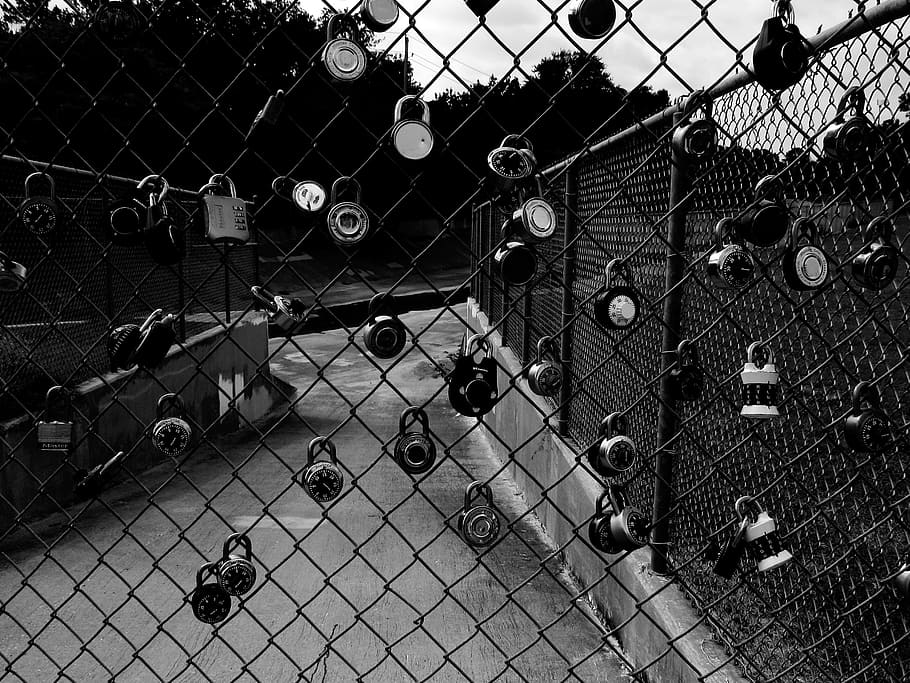 fence, locks, school, black and white, chainlink, yard, chainlink fence HD wallpaper