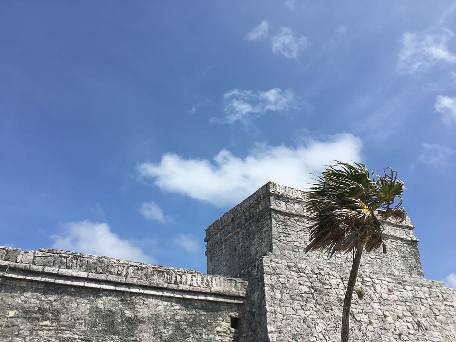 mexico, quintana roo, ruins, palm, sky, built structure, architecture, HD wallpaper