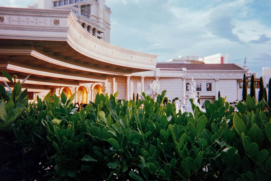 usa, las vegas, caesars palace, architecture, building exterior HD wallpaper
