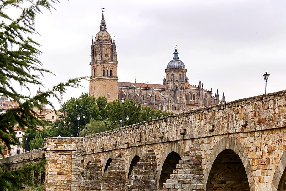 bridge, cathedral, architecture, monument, salamanca, built structure HD wallpaper