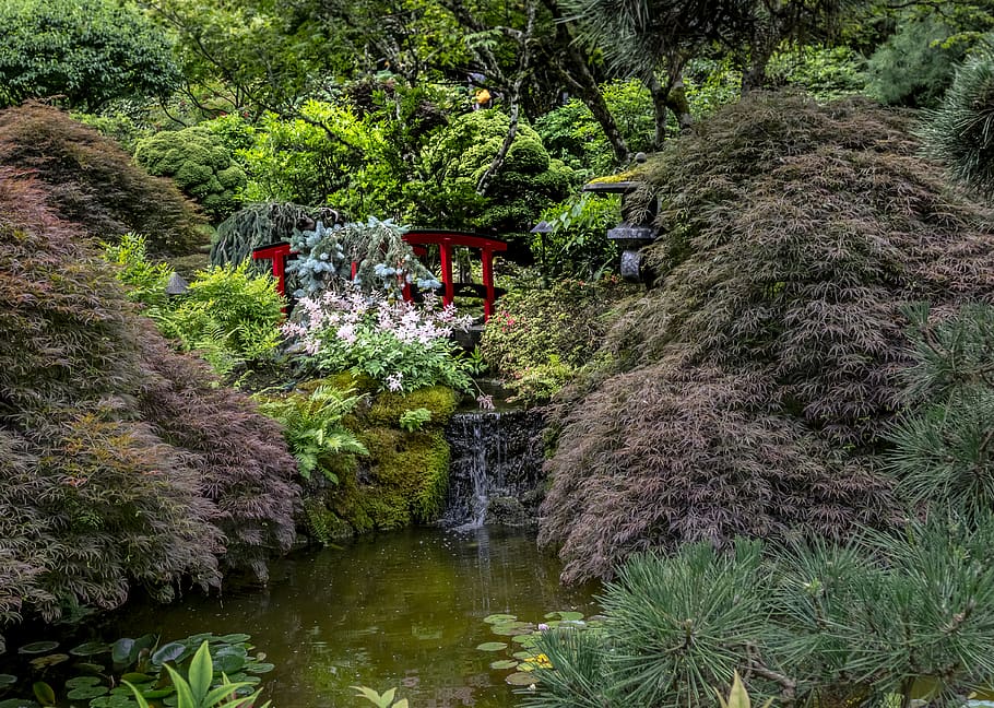 butchart gardens, brentwood bay, japanese garden, garden features, HD wallpaper