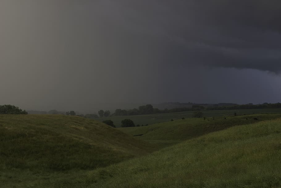 trees, land, sky, clouds, cloudy, storm, stormy, rain, field HD wallpaper