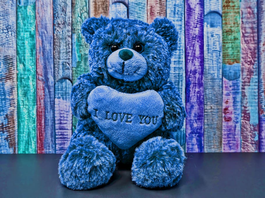 teddy, love, romance, sweet, cute, soft toy, stuffed animal, HD wallpaper