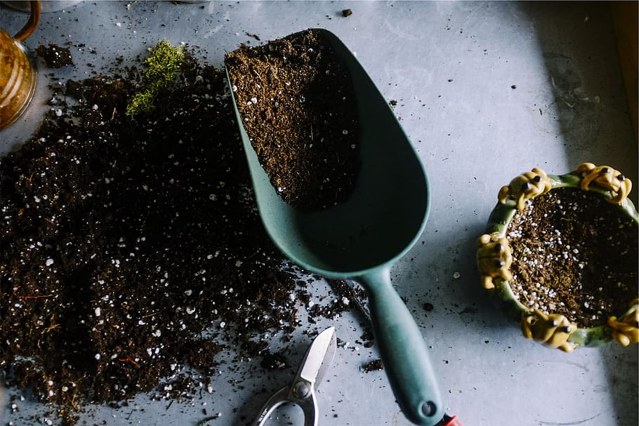 gardening, pots, soil, scoop, trowel, kitchen utensil, food and drink