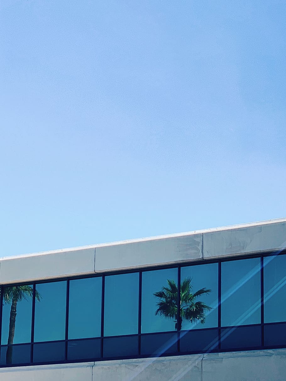 architecture, building, plant, tree, office building, tower HD wallpaper