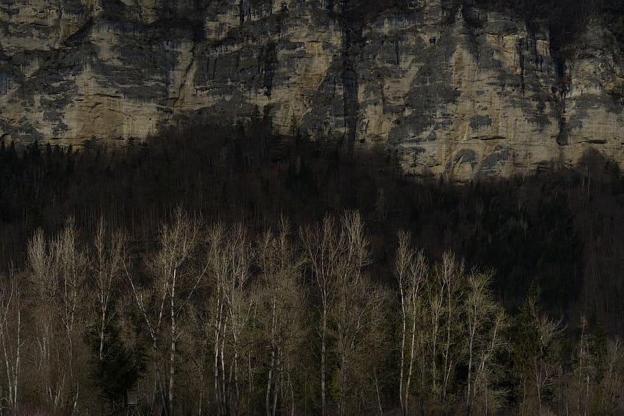 austria, gotschuchen, mountain, wall, tree, shadow, winter HD wallpaper