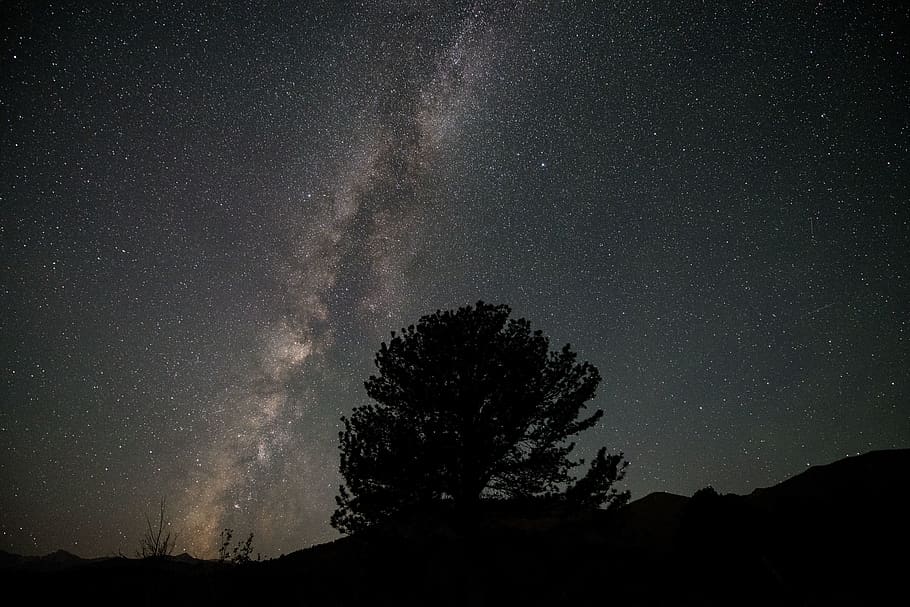 milky way view, star - space, astronomy, night, galaxy, beauty in nature HD wallpaper