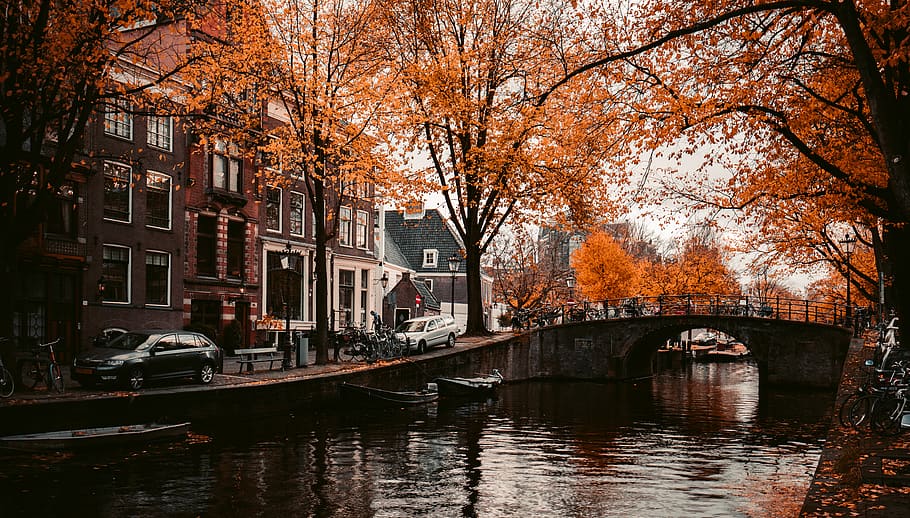 500+ Netherlands Pictures | Download Free Images on Unsplash