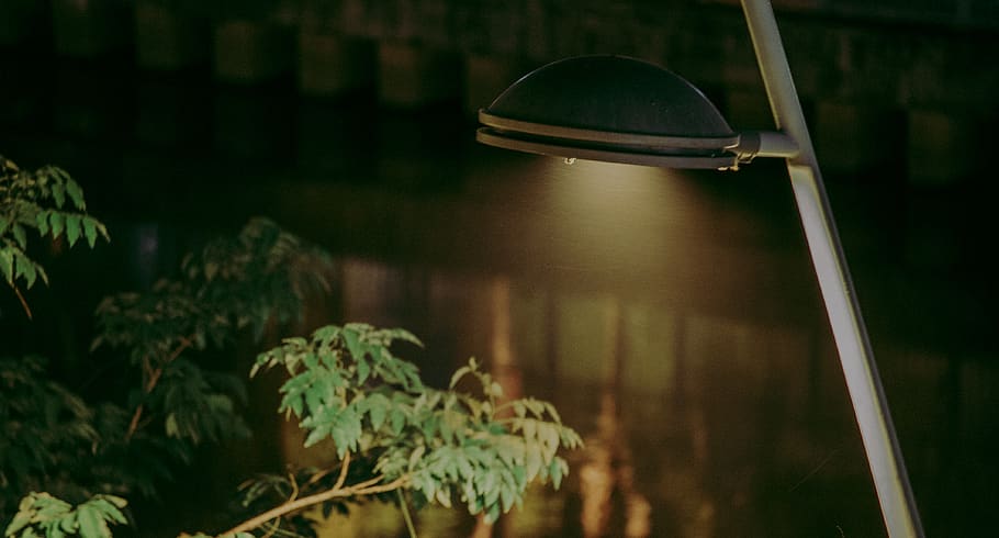 Light Post Near Plant, blur, daylight, evening, garden, grow HD wallpaper