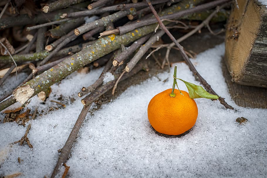 background, branch, citrus, first snow, fruit, leaf, leaves, HD wallpaper