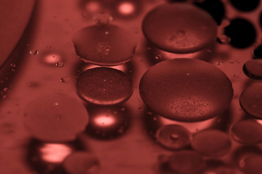 close-up, water, full frame, drop, backgrounds, no people, wet HD wallpaper