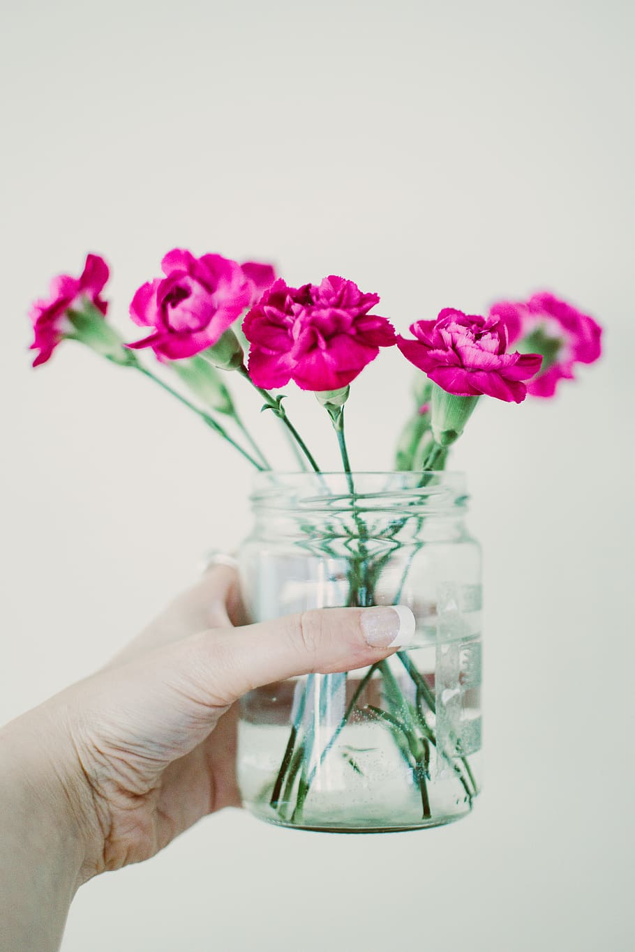 Person Holding Glass Container With Flowers, bloom, blooming HD wallpaper