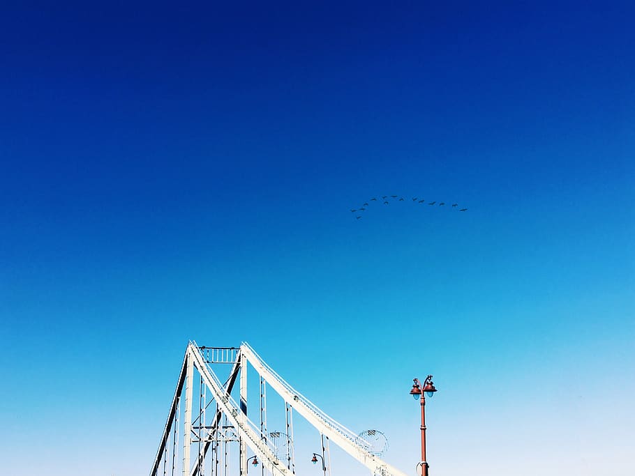 architecture, minimalism, bridge, unsplash, birds, sky, blue