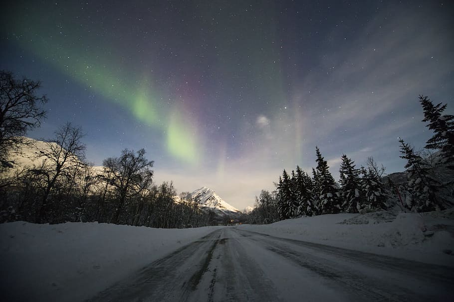 aurora lights on forest, snow, star, northern light, mountain HD wallpaper