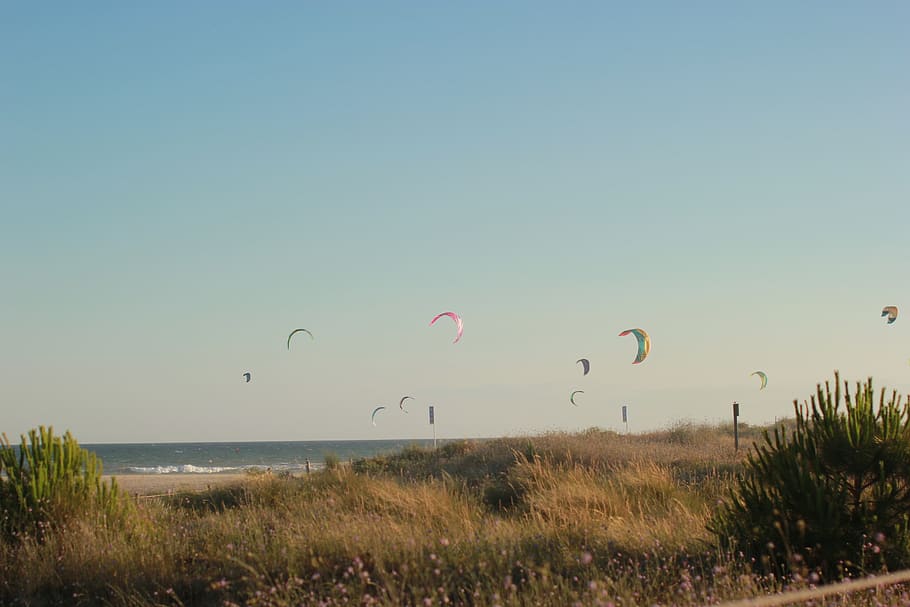 wind, strong, kite, surf, dom, dunes, nature, waves, life, sky HD wallpaper