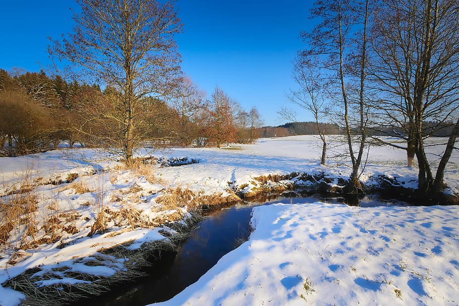 nature, tree, snow, winter, waters, bach, river landscape, sky HD wallpaper