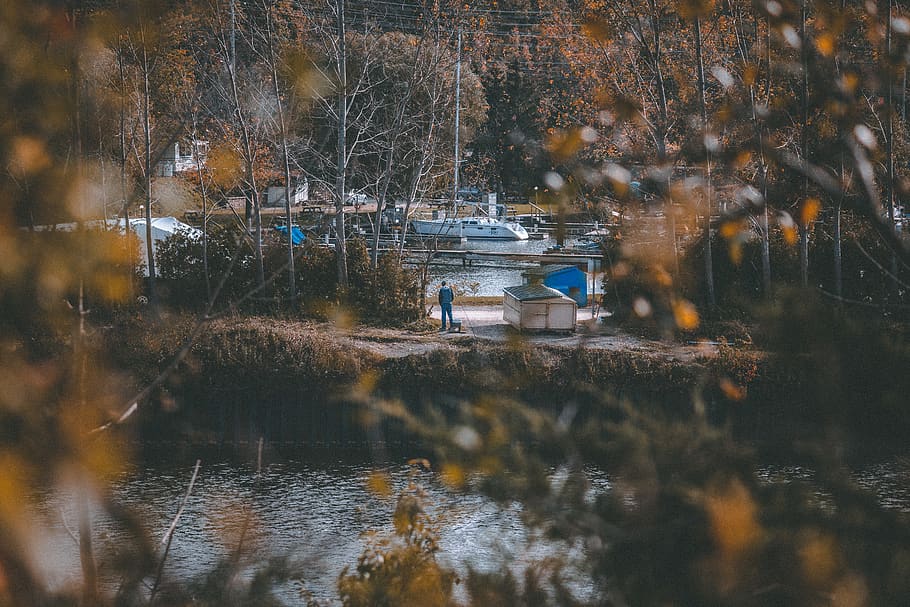 canada, goderich, boats, trees, waiting, autumn, water, plant HD wallpaper