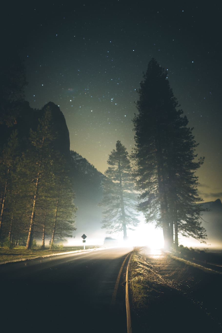 pine trees during night time, road, transportation, sky, plant HD wallpaper