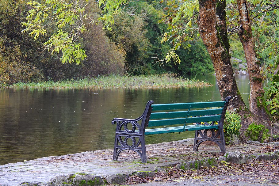 wood, nature, tree, bench, water, fall, season, river, lake, HD wallpaper