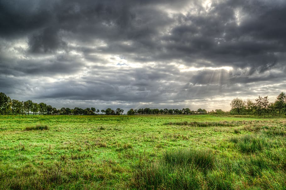 Green Grass Field Under Cloud Formation, clouds, cloudy, dark clouds HD wallpaper