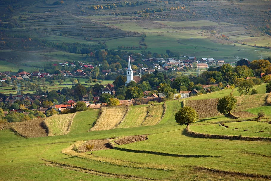 transylvania, romania, nature, landscape, village, village life, HD wallpaper