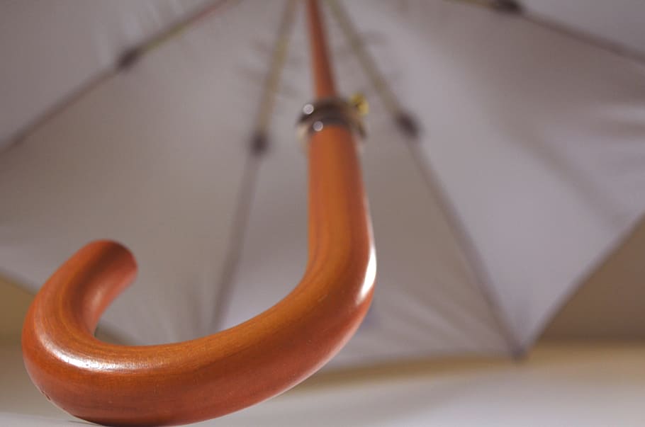Umbrella, no people, close-up, indoors, animal themes, one animal HD wallpaper
