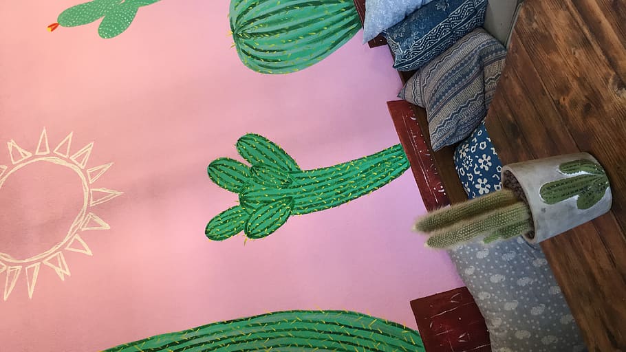 cactus, pink, green color, art and craft, indoors, no people HD wallpaper