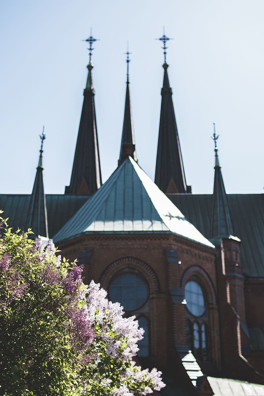Grey and Brown Concrete Cathedral Beside White Flowering Plant HD wallpaper