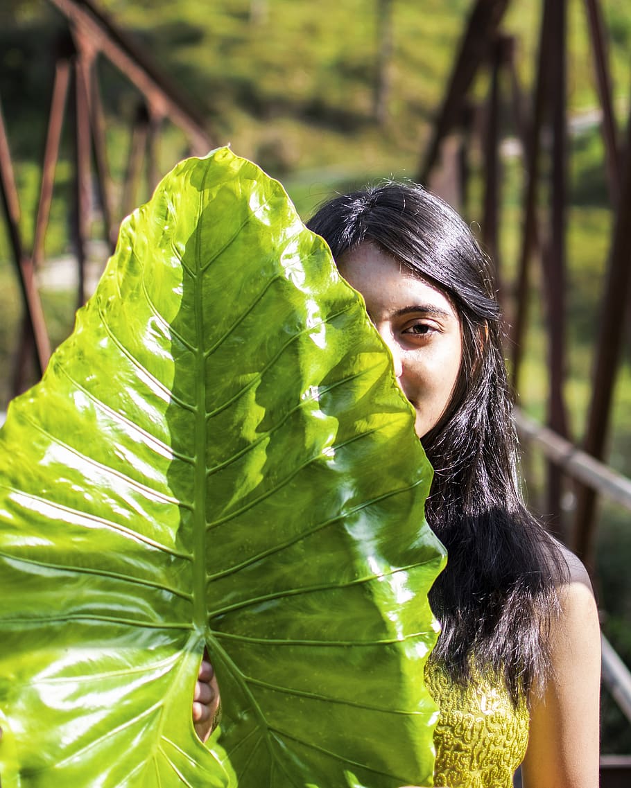 plant, leaf, person, human, veins, vegetation, beautiful, outdoor HD wallpaper