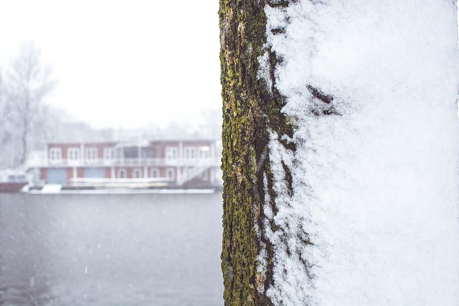 amstel, netherlands, amsterdam, cold, green, winter, is, coming HD wallpaper