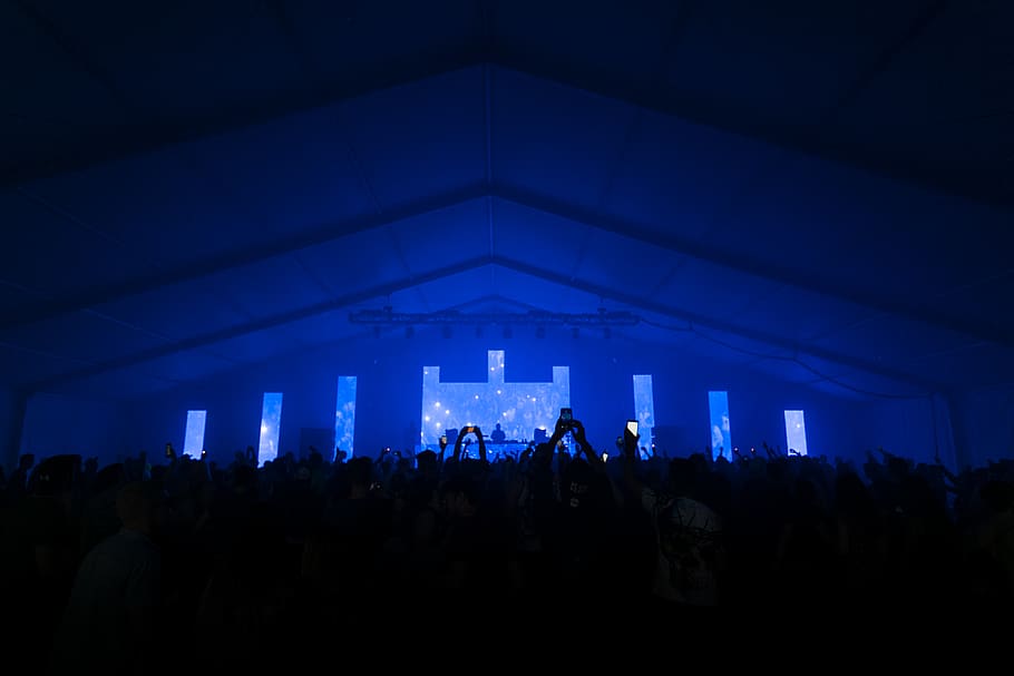 People Raising Phones in Dark Room, audience, building, concert HD wallpaper
