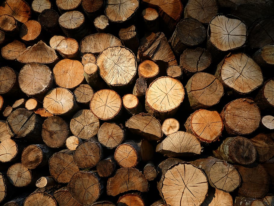 wood, logs, bucheronnage, light, timber, firewood, lumber industry, HD wallpaper