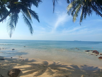 india, goa, sea, cocnuts, beach, sand, water, sky, beauty in nature HD wallpaper